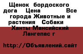 Щенок  бордоского  дога. › Цена ­ 60 000 - Все города Животные и растения » Собаки   . Ханты-Мансийский,Лангепас г.